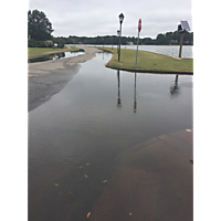 MTM king tide Oct27 image